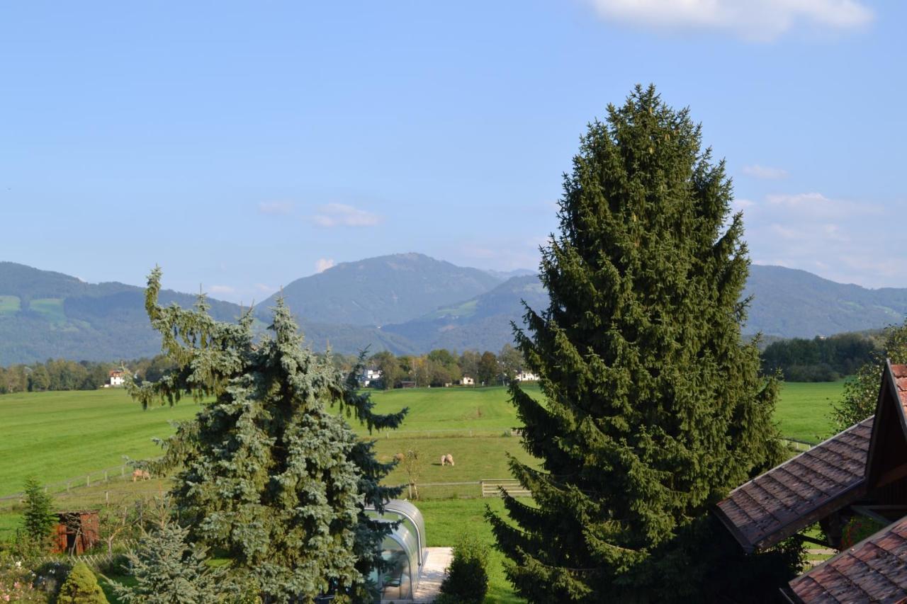 Ferienwohnung Schmiedhansl Moos Salzburg Zewnętrze zdjęcie